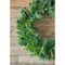 36" Bristle Pine Wreath with Natural Touch Evergreens Full-Size Realistic Holiday Greenery